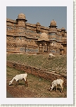 Gwalior -