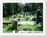 Sighisoara.  El cementerio alemn de la colina.